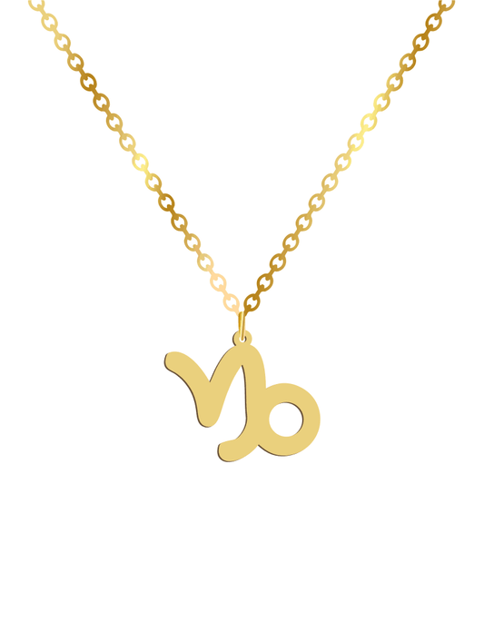 Capricorn Sign Necklace