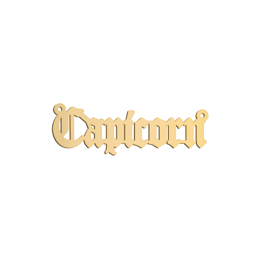 Capricorn Zodiac Name