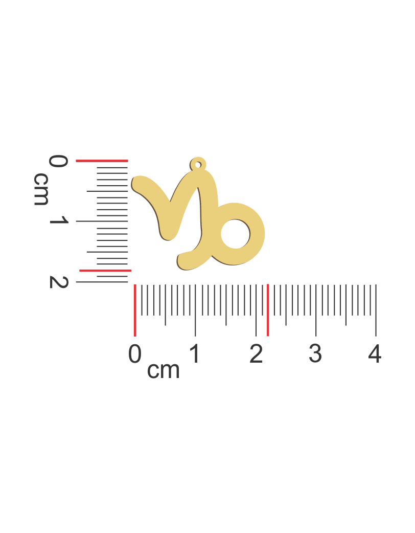Capricorn Sign Necklace