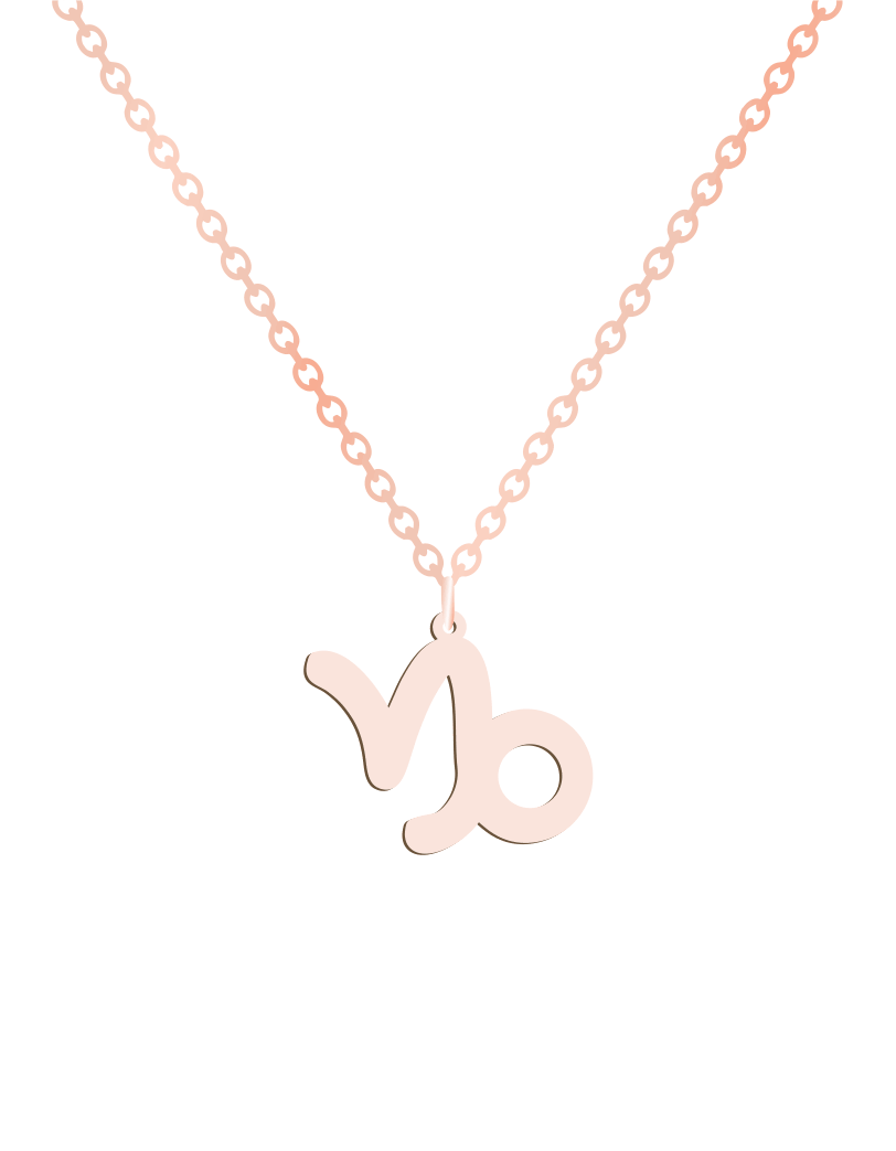 Capricorn Sign Necklace