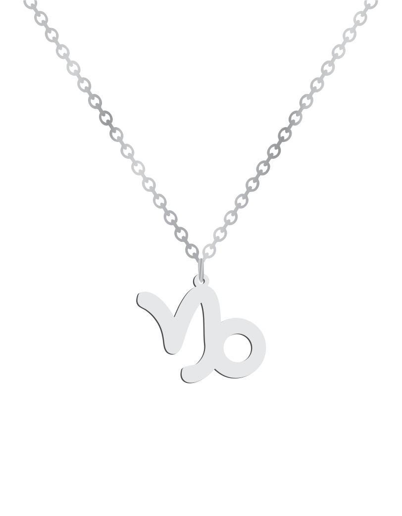 Capricorn Sign Necklace